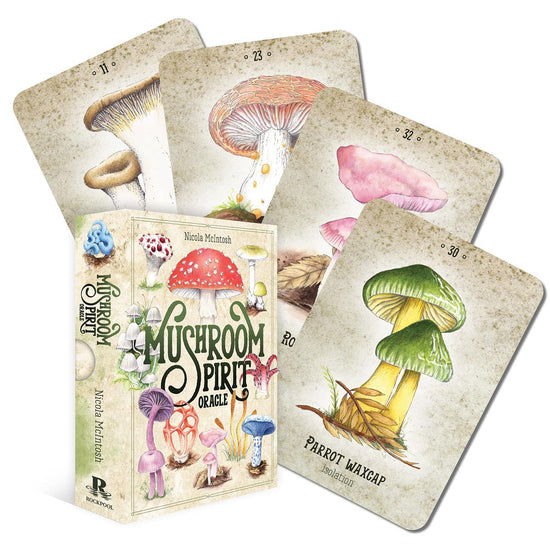 Load image into Gallery viewer, ORACLE CARDS MUSHROOM SPIRIT
